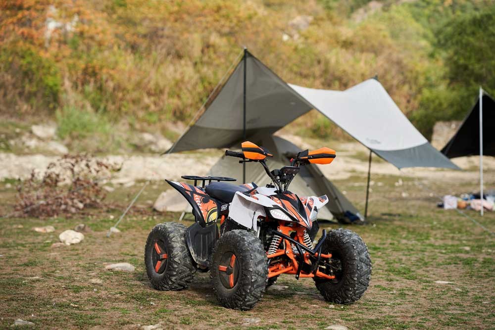 Gasoline ATV FR125ATV-SP engine bay
