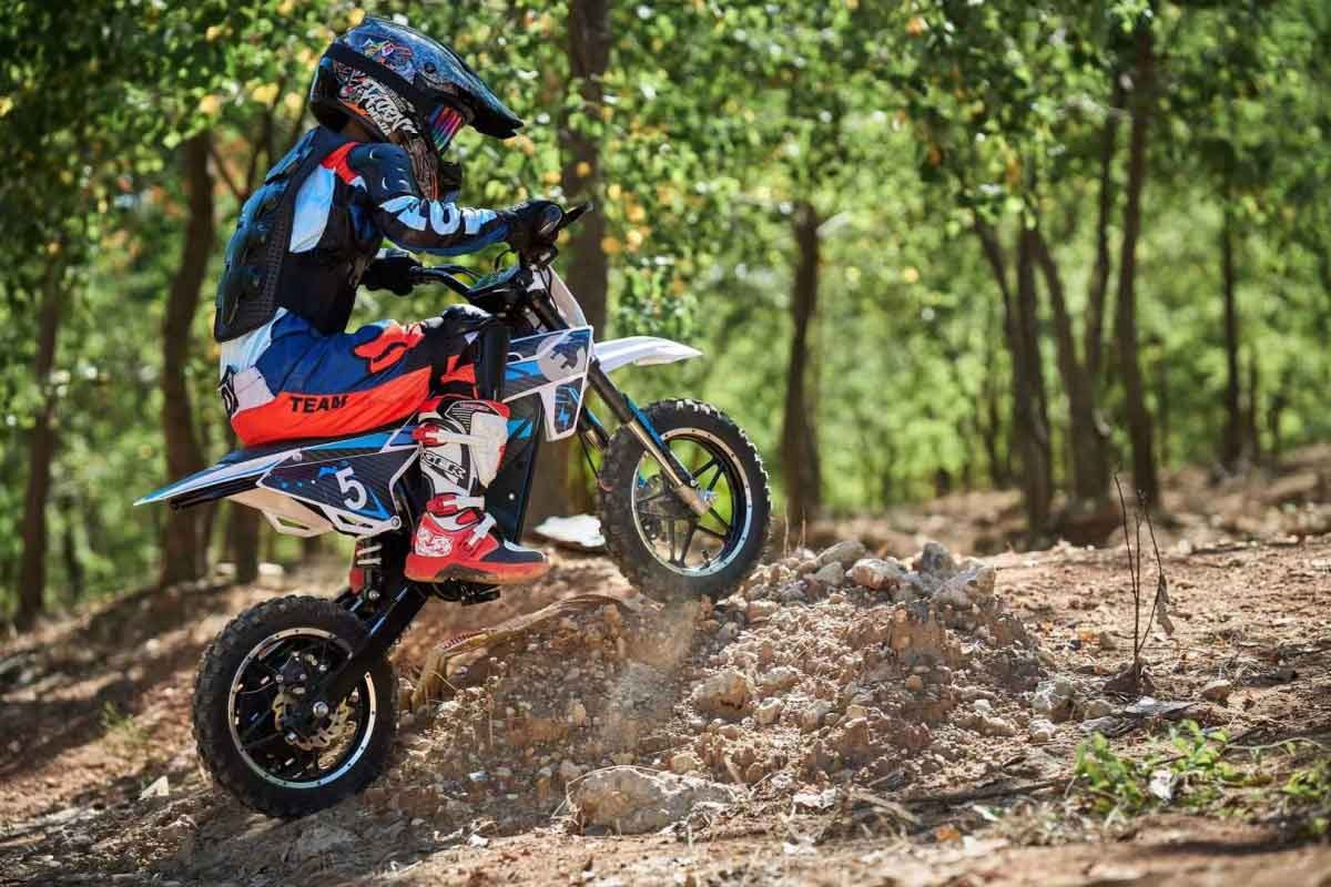 Electric Dirt Bike FR08DEB side profile and chassis