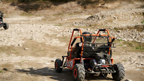 Gasoline Go Kart FR125GK factory photo 1