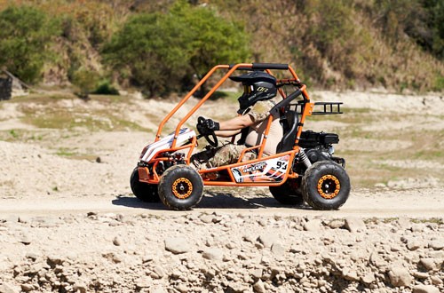 Gasoline Go Kart FR200GK factory photo 2