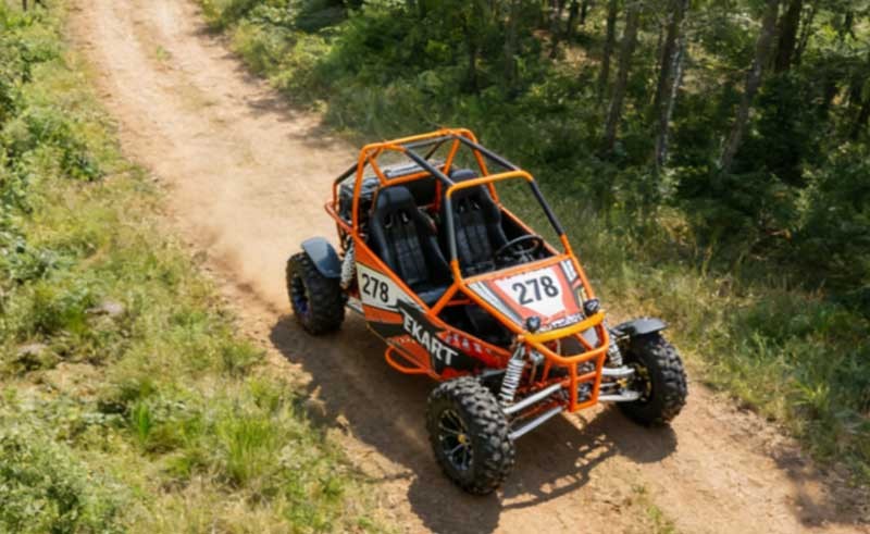 Gasoline Go Kart FR278GK factory photo 2