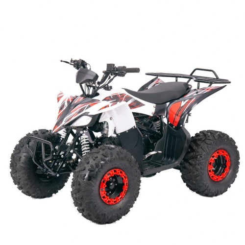 125cc Gas Powered ATV for Trail, Farm & Property Work