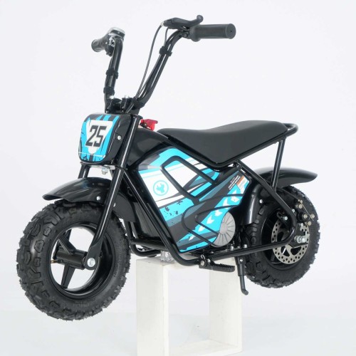 Electric Mini Bike FR025DMB
