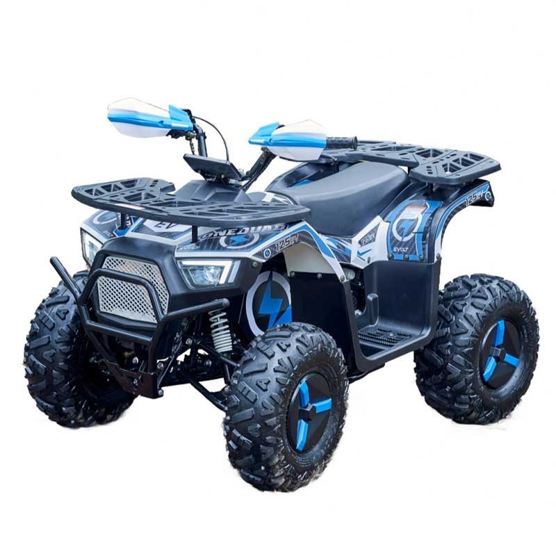 FR20DATV-UT 2KW electric utility ATV for farm and property work, full view