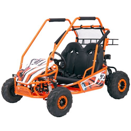 212CC Electric Start Gas Go Kart &mdash; High Torque DK170F for Adult & Rental